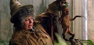 Miriam Margolyes tells adult Harry Potter fans they 'should be over it by now'