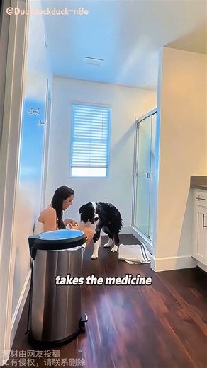 Dog's Bond Saves Owner During Medical Emergency #ServiceDogs #Touching #cute