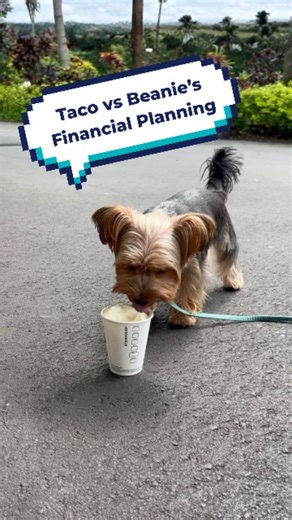 Budgeting vs saving, who wins? 💼🐶 I track expenses, plan investments, and chase financial freedom, while Taco proves his own money-saving strategy with unlimited snacks 🦴. Two financial planning tips, two lifestyles, one question: which financial strategy leads to early retirement and a better life? 📈 👉 Share your vote: Team Beanie or Team Taco? #financialplanning #BeanieFinance #PlannerBee #PlannerBeeSG | Planner Bee