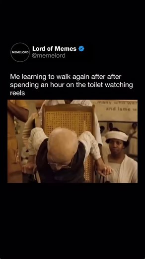 memelord on Instagram: "@memelord has the funniest and best shareable memes on IG ❤️🙏"