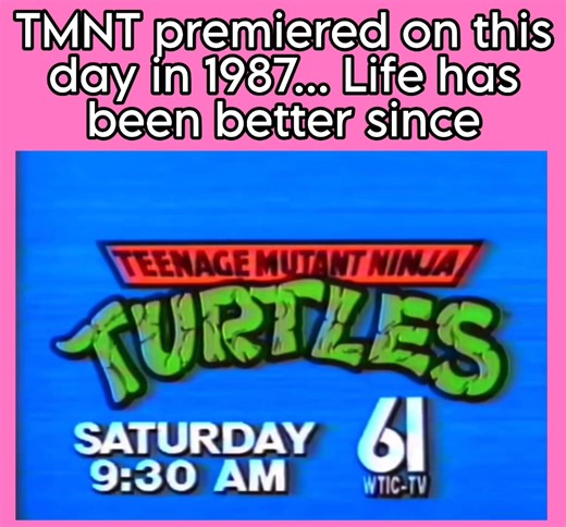 Shell Shocked Ninja Turtles 84 on Reels