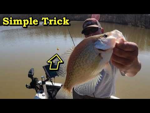 Simple Way to Catch More Spring Crappie (Shallow Water Trick)