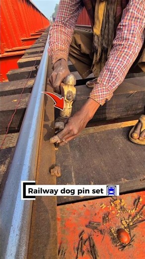 Railway dog pin set #automobile #railwaycontent #automobile #railwayline #railway #railtrack