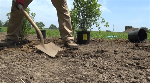 Family helps Swansea transform farm where they grew up