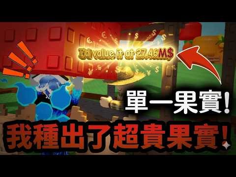我種出了超貴果實！//種植一座花園 2！//Roblox Grow a Garden 2