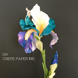 Crepe Paper Iris Flower - Tutorial and Printable Templates - Etsy