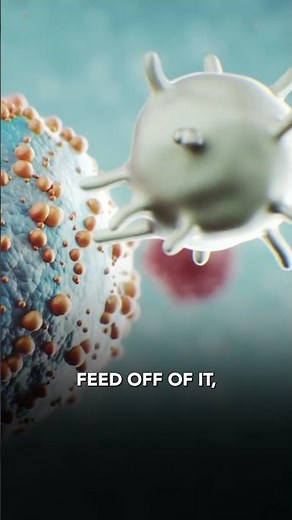 Why You Have To Get Rid Of Liver Toxins
