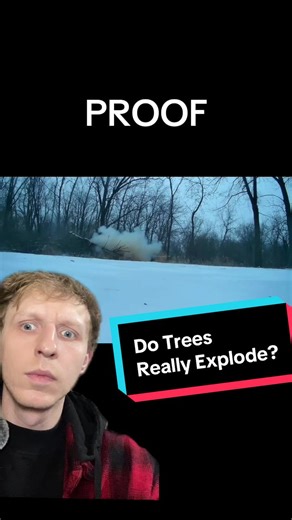 Do Trees Really Explode? 🤯 #explodingtrees #tree #explosion #coldweather #winter