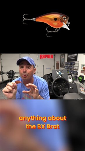 The BX Brat from Rapala is my #1 square bill crankbait for smallmouth bass. The color is Tamale Fishing square bills for smallmouth can be over looked especially for Canadian waters. If you dont already do it, you may want to consider adding this highly effective lure to your arsenal All Canada Show | Jim Crowley Outdoors