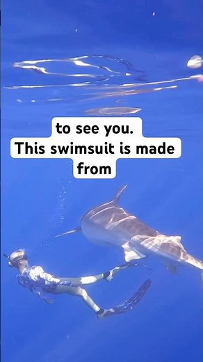 Sharks eyes and rolling under a #🦈 #sharks #ocean #sharkwhisperer #shark #underwater #sharkdiver 🦈