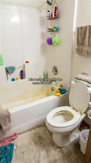 Transform Your Bathroom with Scale Removal Tips