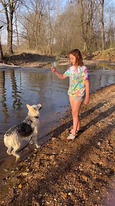 47 reactions · 9 comments | Wanda is a true water dog! | Journey Home GSD Rescue | Facebook