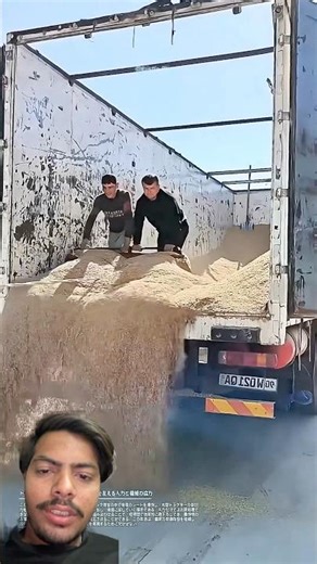 Traktar say truck mai say rice unloading kar rahe hai #farming #viralshort #vlog #youtube #tracktor