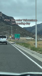 You never know what is around each corner at Yellowstone National Park. Will we see you this summer? Get there via the East Gate through Cody Yellowstone: https://bit.ly/4a3kBuk | Cody Yellowstone