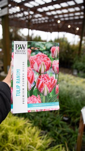 When spring rolls around, you’ll be glad you planted now! 🌷 Our fall bulb collection is at its peak and ready for your garden. Don’t miss out stock is limited and these beauties are only available for a short time! | Green Acres Nursery & Supply