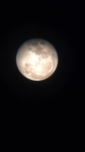 Full Flower Moon 🌹🌷🌙