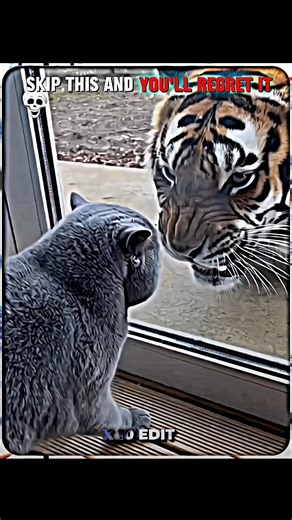 WATCH THIS BEFORE SKIPPING #trollface #edit #trendingshorts