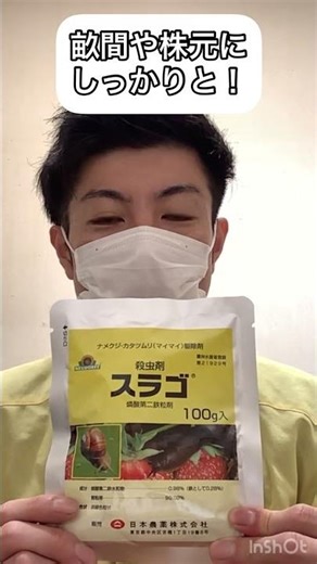 ナメクジが畑にいた！対策はどうしたらいい？【農業屋】