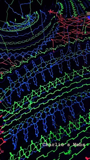 Charlies Webs on Instagram: "#web #treenet #spacenet #paracord #patterns #weaving #build #party #work"