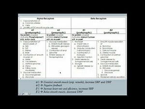 Adrenergic Agonists (Part One) - CRASH! Medical Review Series