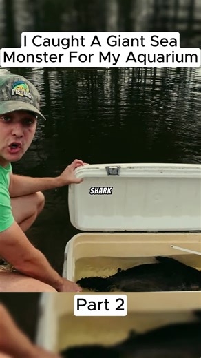I Caught A Giant Sea Monster For My Aquarium Part 2 #fishinglife #fishingtiktoks #fyp