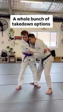 A whole bunch of takedown options