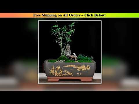 Flower Pot Purple Clay Ceramic Rectangular Bonsai Fig Tree Podocarpus Pine Ganoderma Old Stump Pot