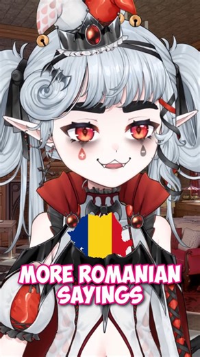 ppslayer on Instagram: "Romanian sometimes makes no Sense in English 🇷🇴 #vtuber #romania #vampire #anime #fyp"