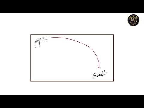 What is Absorption? (The Digestive System) | Biology explained in animation.