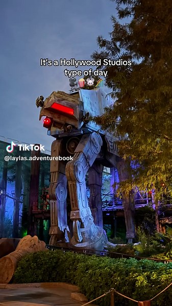 Hollywood Studios Experience: A Magical Day at Disney