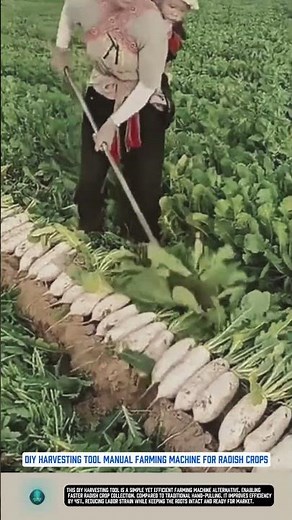 DIY harvesting tool manual farming machine for radish crops
