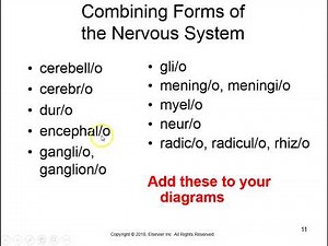 Chapter 15 Nervous System and Behavioral Health 10thed