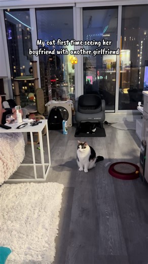 She does not want to flirt anymore 🤣 #fyp | cats