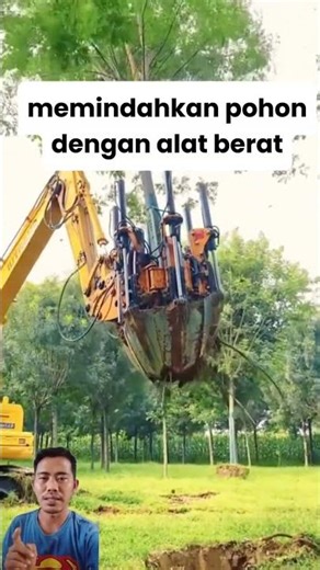 cara cepat memindahkan pohon 🌲#viral #trending #reaction #information #tutorial #shorts