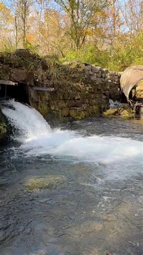 Boze Mill - Eleven Point River This spot was once the site of the Lucas Boze Grist Mill in the late 1800s, serving as a vital center of commerce where local farmers brought their corn and wheat to be ground into flour. Though the full structure is gone, you can still see fascinating remnants of this history today: 💧The historical 1880s turbine lies near the spring branch. 🪨A remarkable hand-layered rock wall that directed the spring water still stands, showcasing the craftsmanship of a bygone 