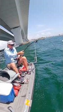 we're gonna need a bigger boat #fishing #lifeisbutadream #shark