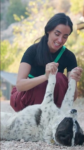 Is your dog afraid of everything? Do this