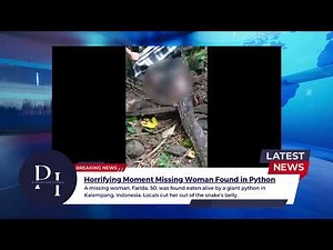 Horrifying Moment Missing Woman Found Eaten by Python