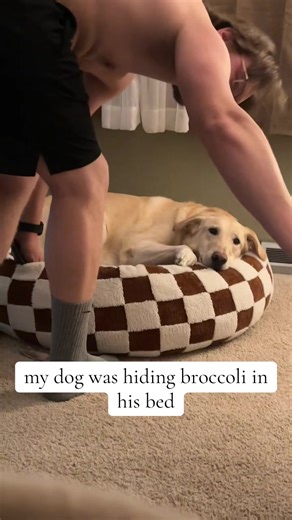 smells like farts | broccoli