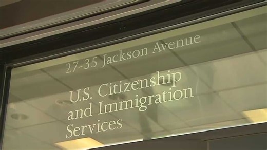 Local Somali-American says president's comment paints community unfairly