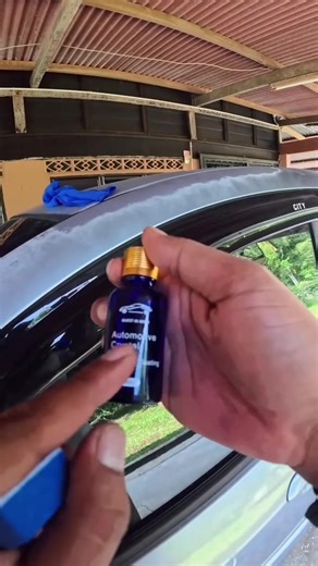 Expert Car Detailing Techniques for Polish Cats