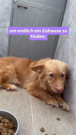 Dino is fighting against his insecurity ❤️‍🩹