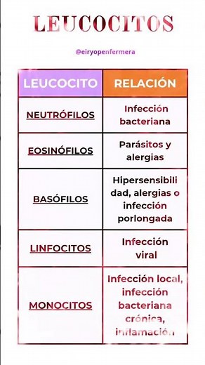 LEUCOCITOS: Neutrófilos Eosinófilos Basófilos Monocitos Linfocitos #eir #enfermeria #oposiciones