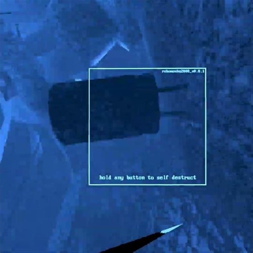 animal company speedrun #speedrun #record #tryhard