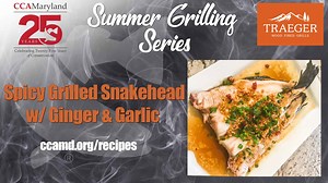 Summer Grilling Series: Spicy Grilled Snakehead w/ Garlic & Ginger | CCA Maryland