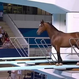 10K reactions · 1.1K shares | #اكسبلور #ترند #اكسبلور_فولو #اكسبلور_explore #خيل #اكسبلورر #فولو #اكسبلور_ضيفونا #أكسبلور #a #shopsmall #quotes #wedding #r #travelling #uk #o #bass #artist #model #nofilter #viralvideos #xmas #kitty #followforfollow #followforfollowback #foodblogger #اكسبلور | Abdulrahman Al-Huwaiti | Facebook