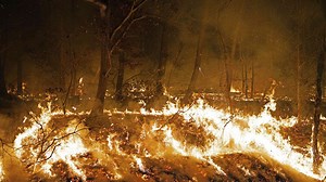 Northeast faces massive drought, putting 42 million people on alert