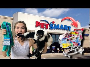 BUYING MY LEMUR WHATEVER HE TOUCHES AT THE PET-STORE!!