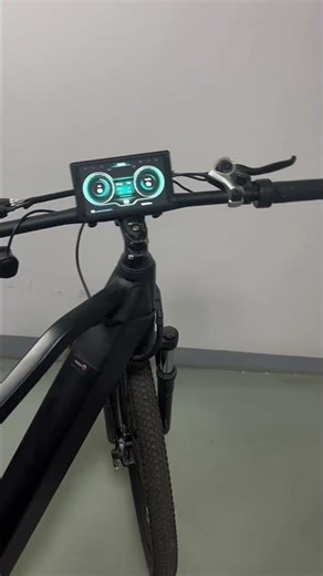 🚴‍♂️ H8 Premium E-Bike Display | Bluetooth & Screen Projection for Smarter Rides