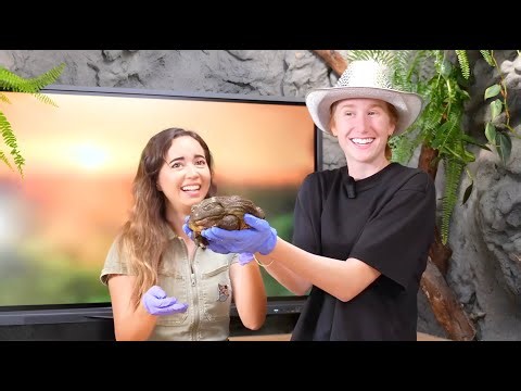 KatieB Goes To Maya Higa's Alveus Sanctuary!